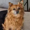 Josefa Perea - @josefa.perea2 - TikTok