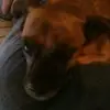 josefaperea328 - @josefaperea328 - TikTok