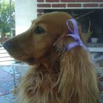 Josefa Perez - @josefina4101 - Instagram