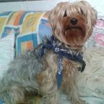 Josefa Perez - @josefa.perez.3597 - Instagram