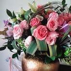 Josefa Portillo - Facebook