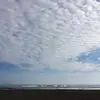 Josefa - @josefaricci - TikTok