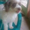 Josefa Rivero160 - @josefarivero160 - TikTok