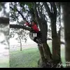 rosenbergjosefa - @rosenbergjosefa - TikTok