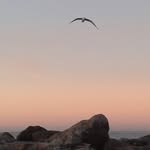 Josefa Ruiz García - @garciajosefaruiz - Instagram
