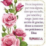 josefa Ruth - @josefaruth1868 - Instagram