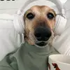 Estrellita 💕 - @josefa.santos.pea - TikTok