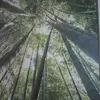 Josefa Sousa - @josefa.sousa490 - TikTok