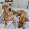 Josefa Souza - @josefa.souza776 - TikTok