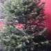 Josefa Thomas - Facebook