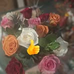 Josefa Trejo - Facebook