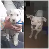 Josefa Trejo - @josefa.trejo84 - TikTok