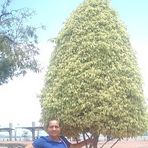 Josefa Ulloa - Facebook