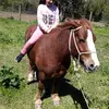 Josefa - @josefavallejo - TikTok