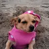 josefina Cabrera - @josephinasierra - TikTok