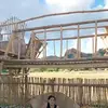 josefinalamberte1 - @josefinalamberte1 - TikTok