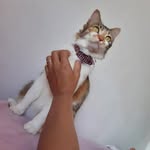 Josefina Lopes - @finosalopes2 - Instagram