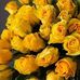 Josefina Ojeda - Facebook