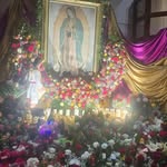 Josefina Ojeda - @josefina.ojeda.5055 - Instagram