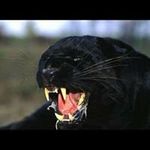 Joseph Abdon - @joseph.abdon - Instagram