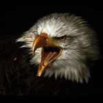 Joseph Dalit Abdon - @josephdalit - Instagram