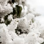 יוֹסֵף אַבְרָמוֹב - @j.oseph.abramov - Instagram