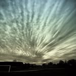Joseph Abramo - @joseph.abramo.98 - Instagram