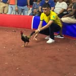 Joseph Abrego - @zorri_gallos - Instagram