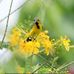 Ann Acheson - Facebook