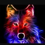 Joseph Adelson - @flying_furious_fox - Instagram