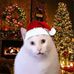 Joseph Agan - Facebook
