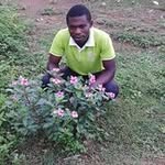 Joseph Agyemang - @joseph.agyemang.37 - Instagram