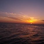 Joseph Ahearn - @chefjoseph1432000 - Instagram