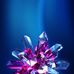 Joseph Alimo - Facebook