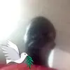 Joseph Alo - @joseph.alo2 - TikTok