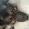 joseph_halo4 - @joseph_halo4 - TikTok