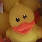 Joseph Alsup - @joey.ourfat_hippo - Instagram