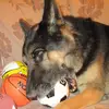 giuseppe altieri620 - @josephaltieri2 - TikTok