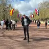 Joe Falvey - @josephfalvey - TikTok
