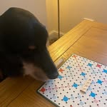 Joseph alvey - @jos.eph2892 - Instagram