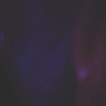 Josephambriz - @josephambriz_ - Instagram