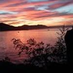 Joseph Argyle - @argylejoseph - Instagram