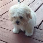 Joseph Ariza - @josephariza1 - Instagram