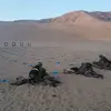 josepharo242 - @josepharo242 - TikTok