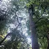 Joseph Mashburn - @josephmashburn505 - TikTok