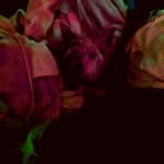 Joseph Ashmore - @joseph.ashmore.355 - Instagram