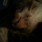 Joseph Baines - @joseph.baines - Instagram