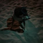 Joseph Baldi - @baldijoseph - Instagram