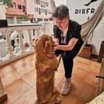 Joseph Ballard - @joeylad15 - Instagram