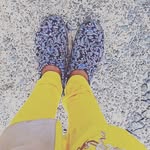Joseph Baptista - @pappi_raja - Instagram